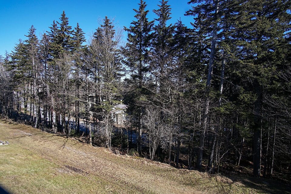 Trails located at the back of the Whistlepunk complex
