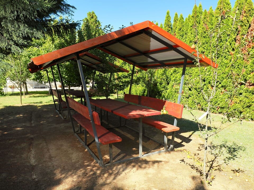 Plant, Plant Community, Table, Shade, Sky, Tree, Leisure, Grass, Landscape, Tints And Shades