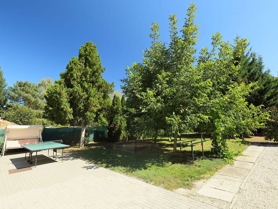 Sky, Plant, Plant Community, Table, Natural Landscape, Botany, Land Lot, Tree, Shade, Road Surface