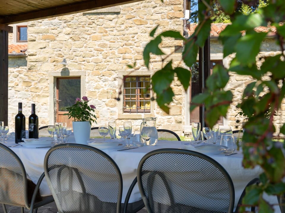 Table, Plant, Furniture, Property, Window, Building, Chair, Light, Green, Leaf
