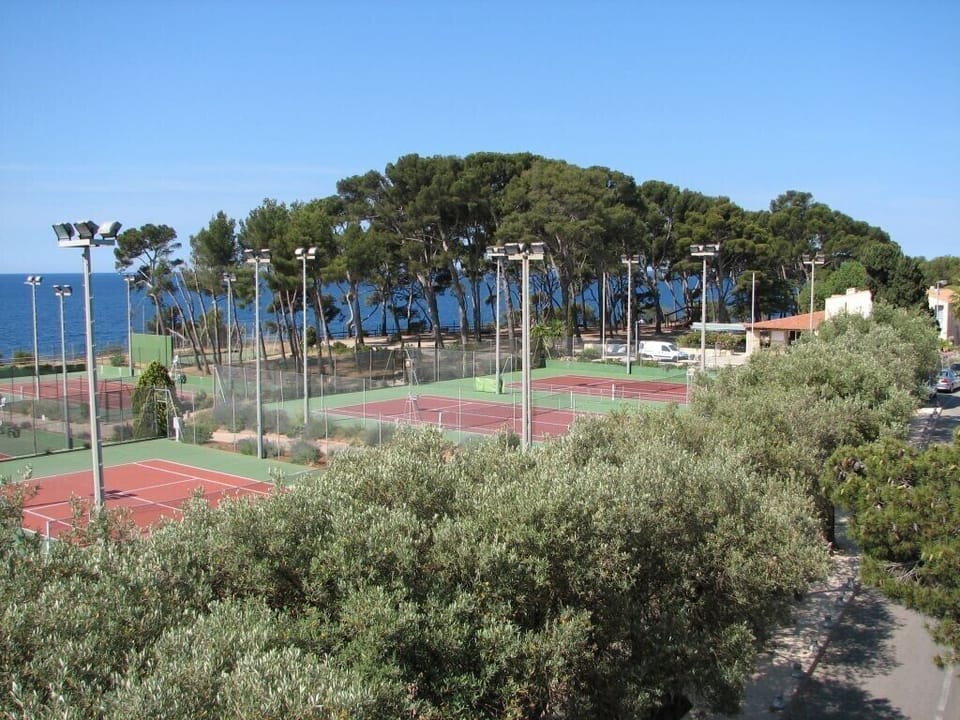 Sport court
