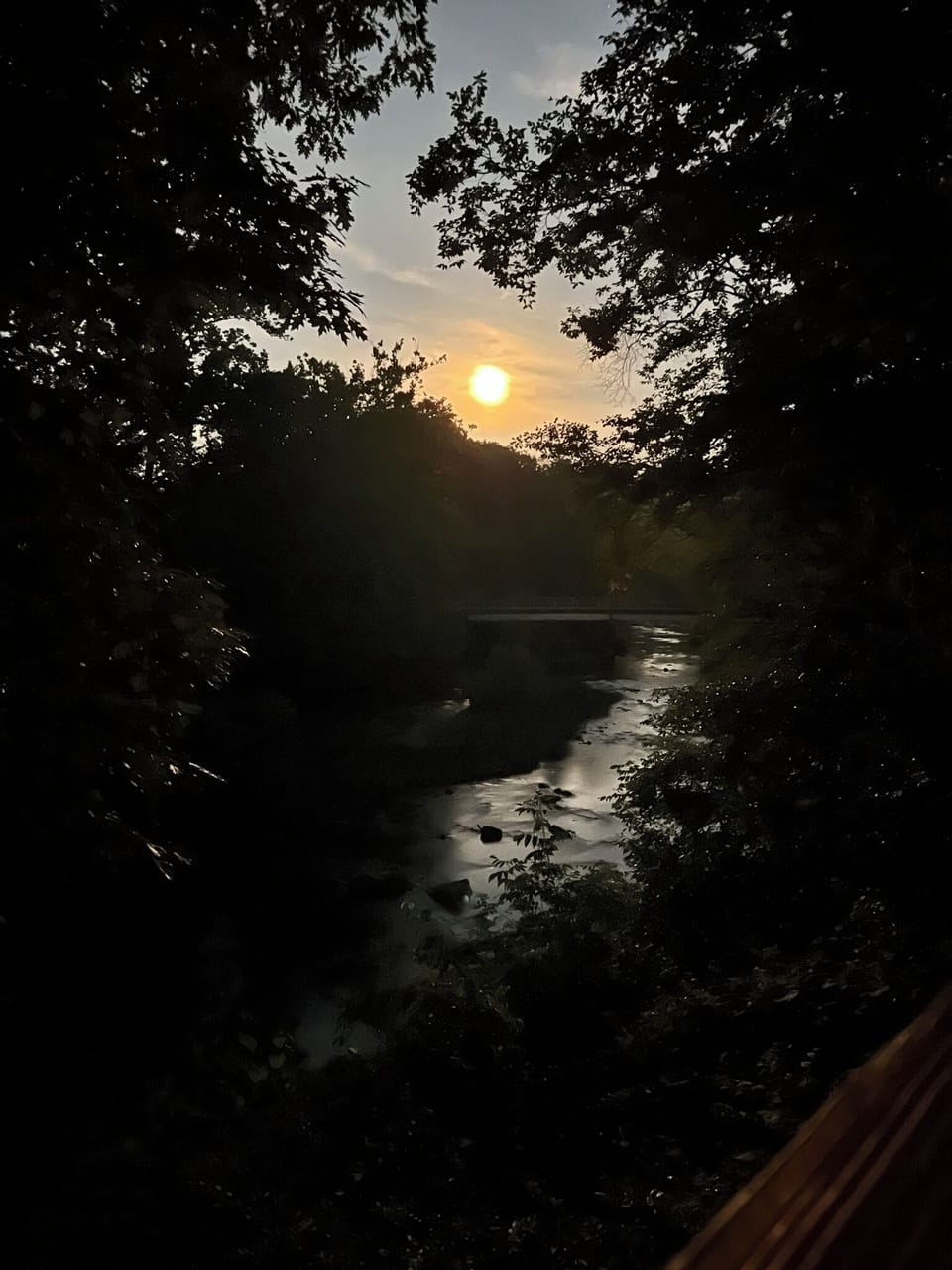 The strawberry moon rising above the Loyalhanna Creek enjoyed from our deck.
