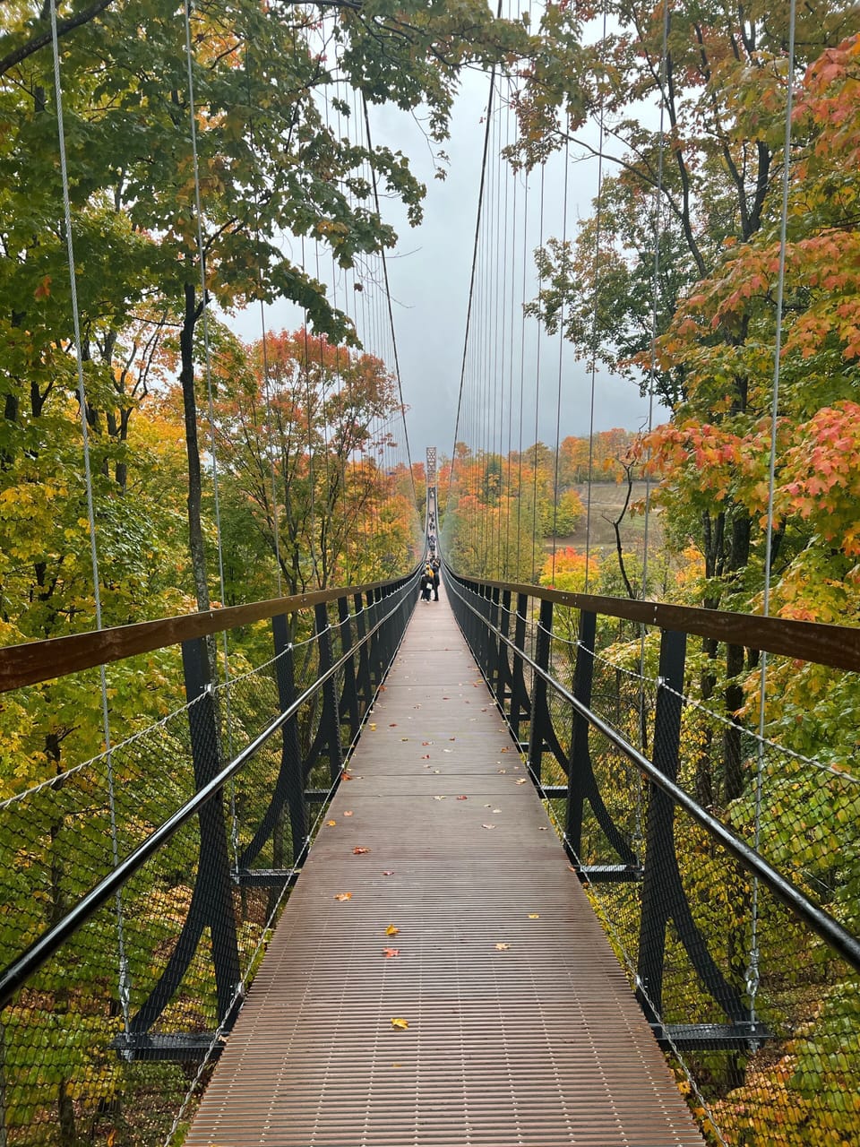 Boyne Sky Bridge down the street!!!
