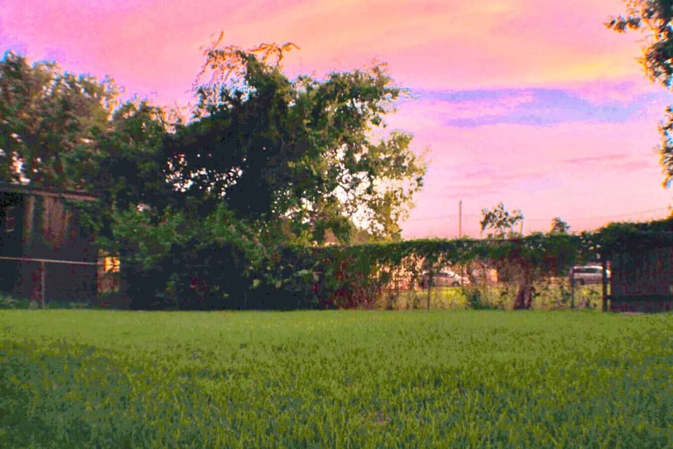 Fenced Backyard