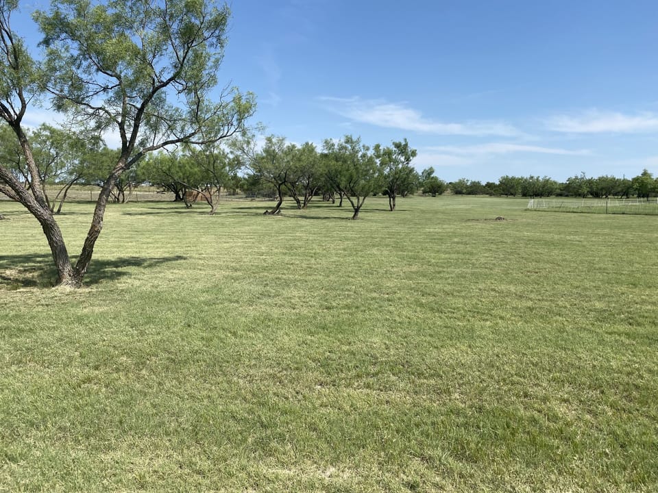 View from property 