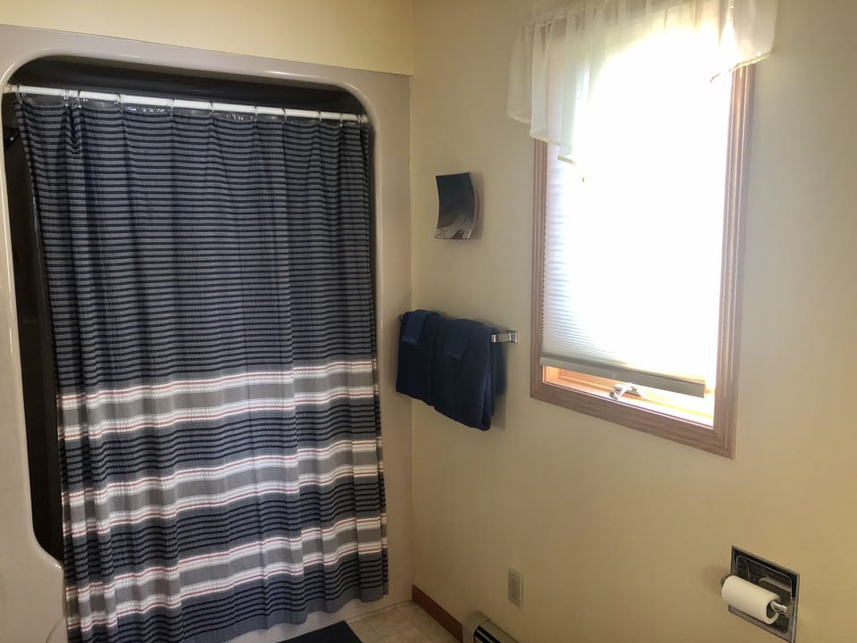 Master bath - bath/shower