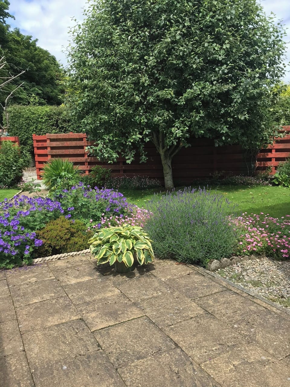 Mature communal gardens
