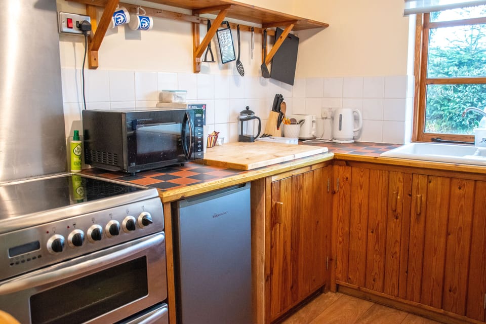 Cabin | Private kitchen | Fridge, microwave, oven, stovetop