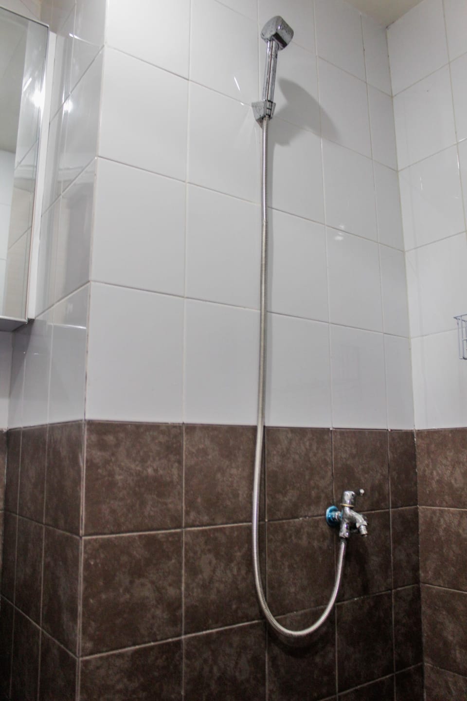 Shower, towels