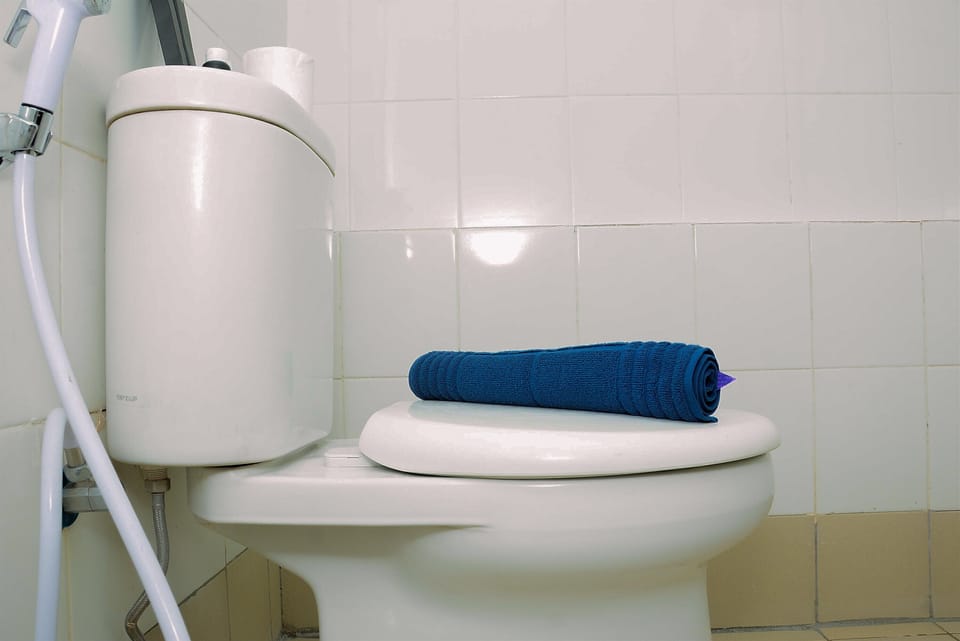 Room | Bathroom | Shower, towels
