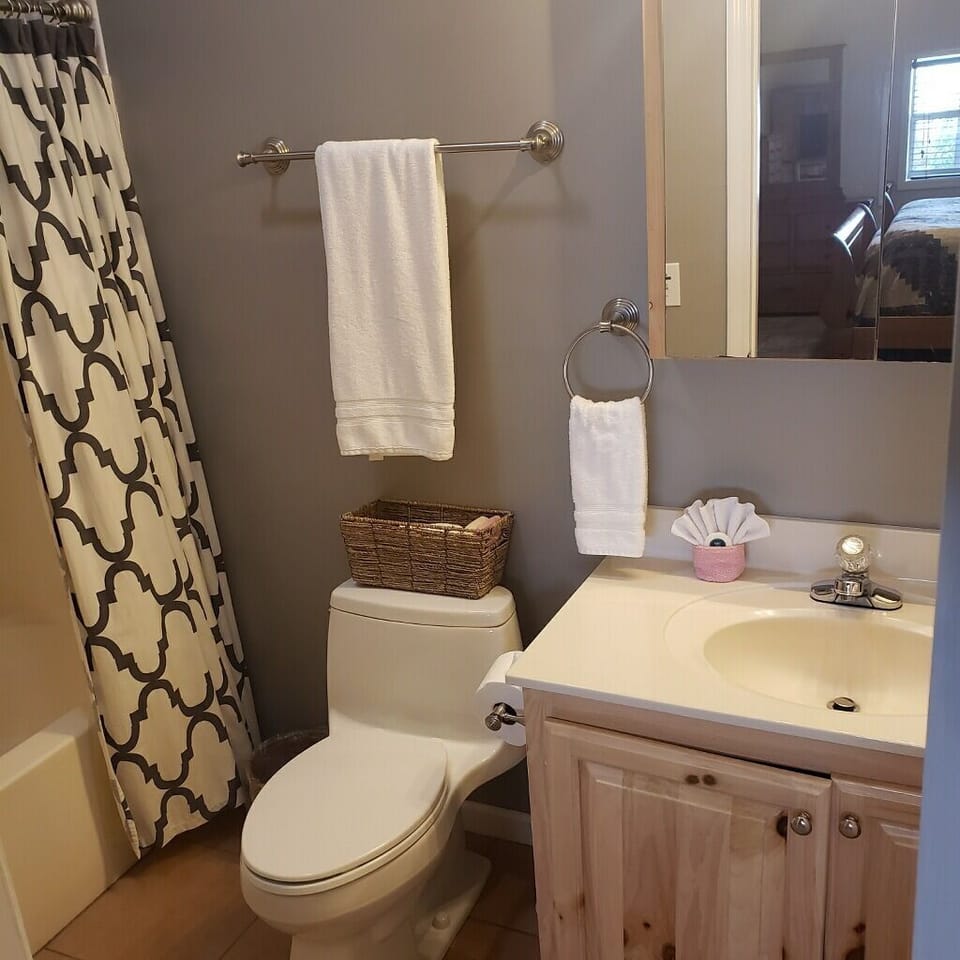Downstairs full bathroom off King bedroom