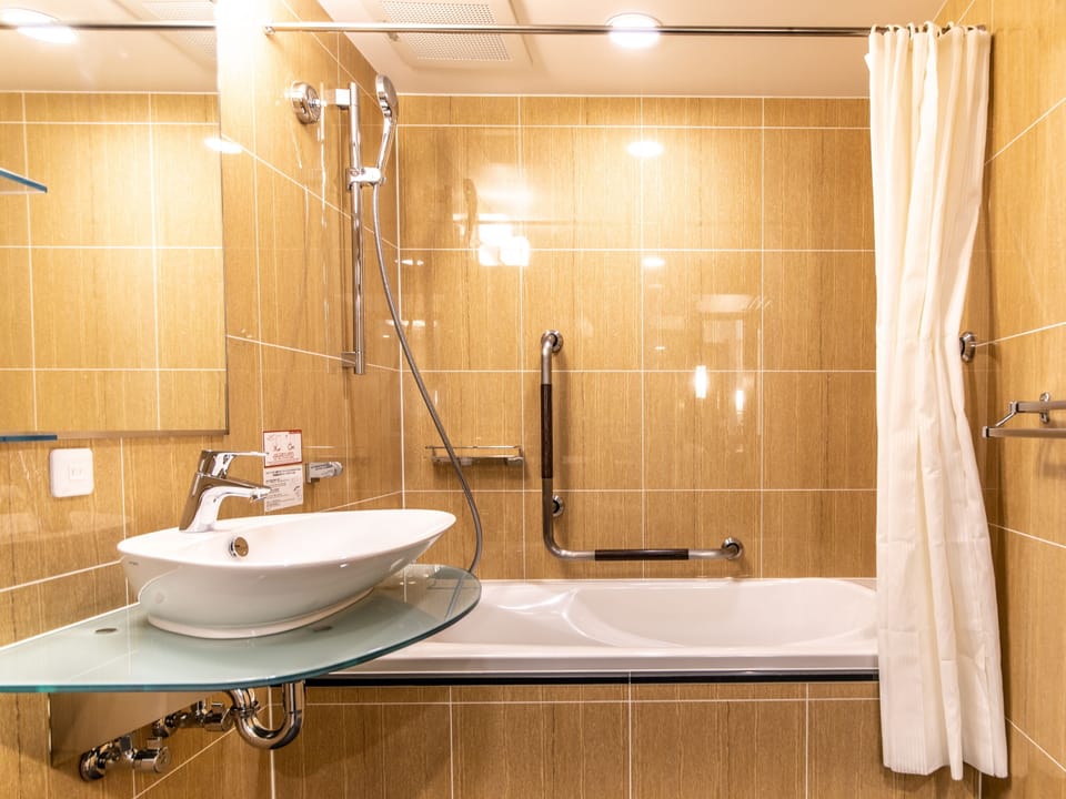 Deluxe Twin Room, Non Smoking | Bathroom | Combined shower/tub, free toiletries, hair dryer, slippers