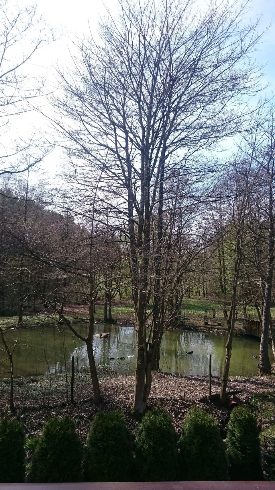 View from property
