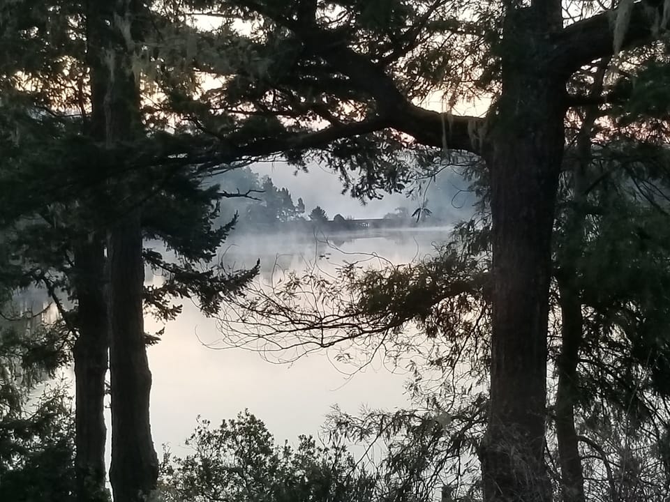 A GORGEOUS foggy morning.  View from living room picture window.  