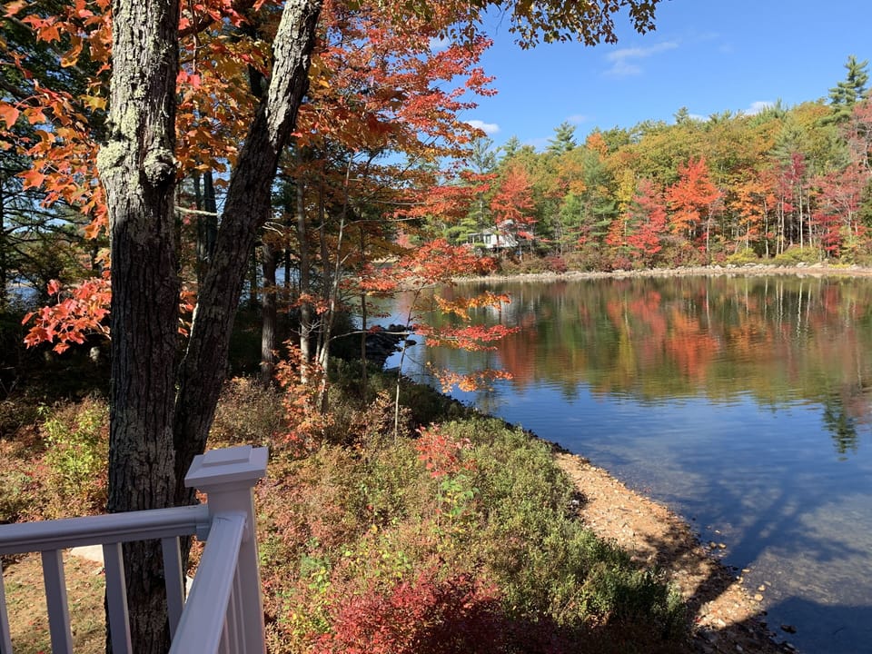 View from property