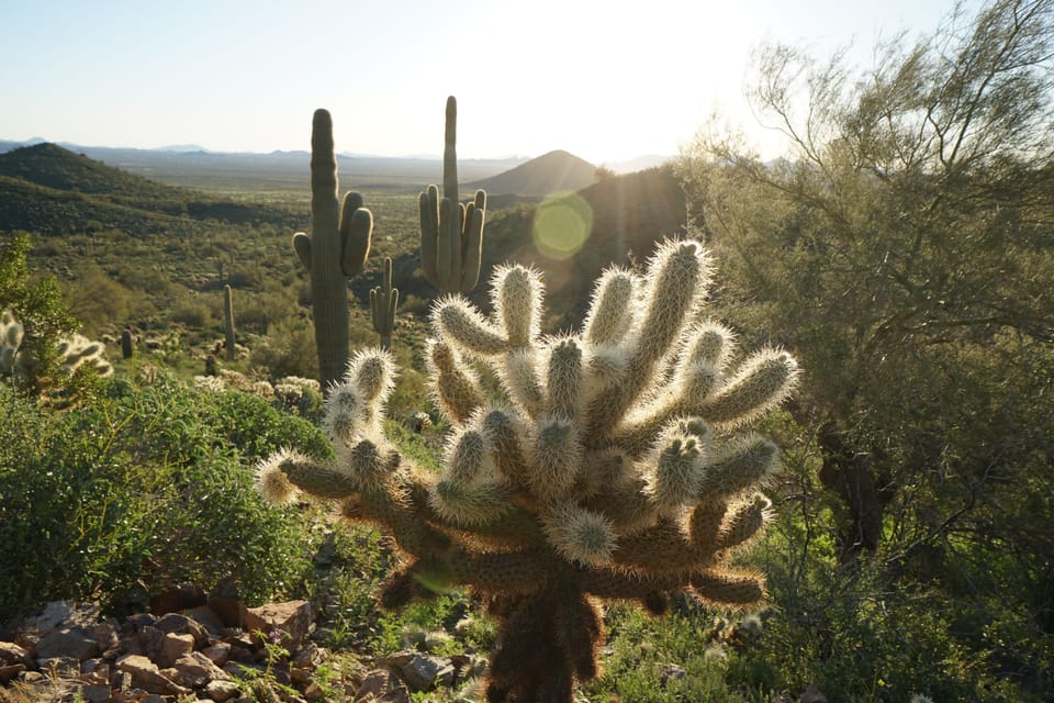 Walks and hiking in the desert just 20 minutes away.
