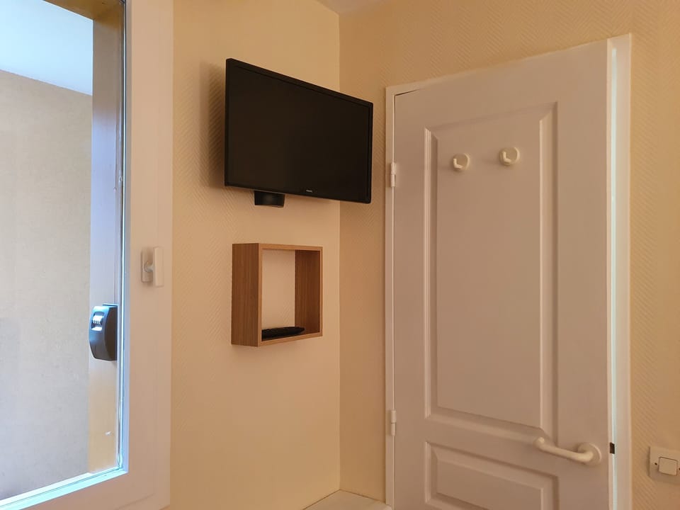 Television