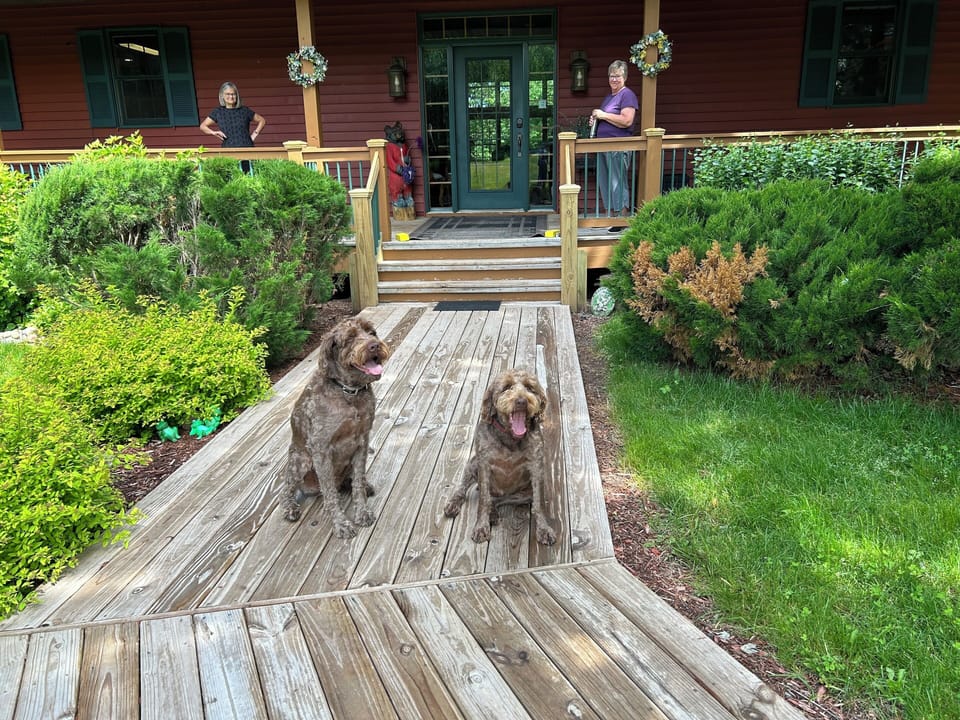 One or two well-behaved dogs are welcome and can run off leash.