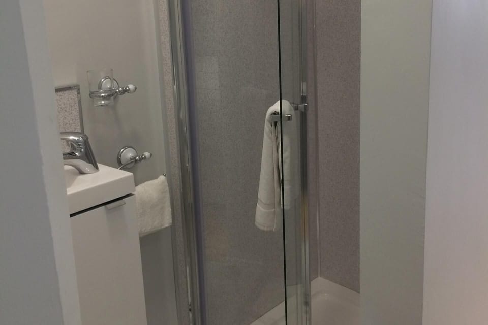 Shower, hair dryer, towels, shampoo