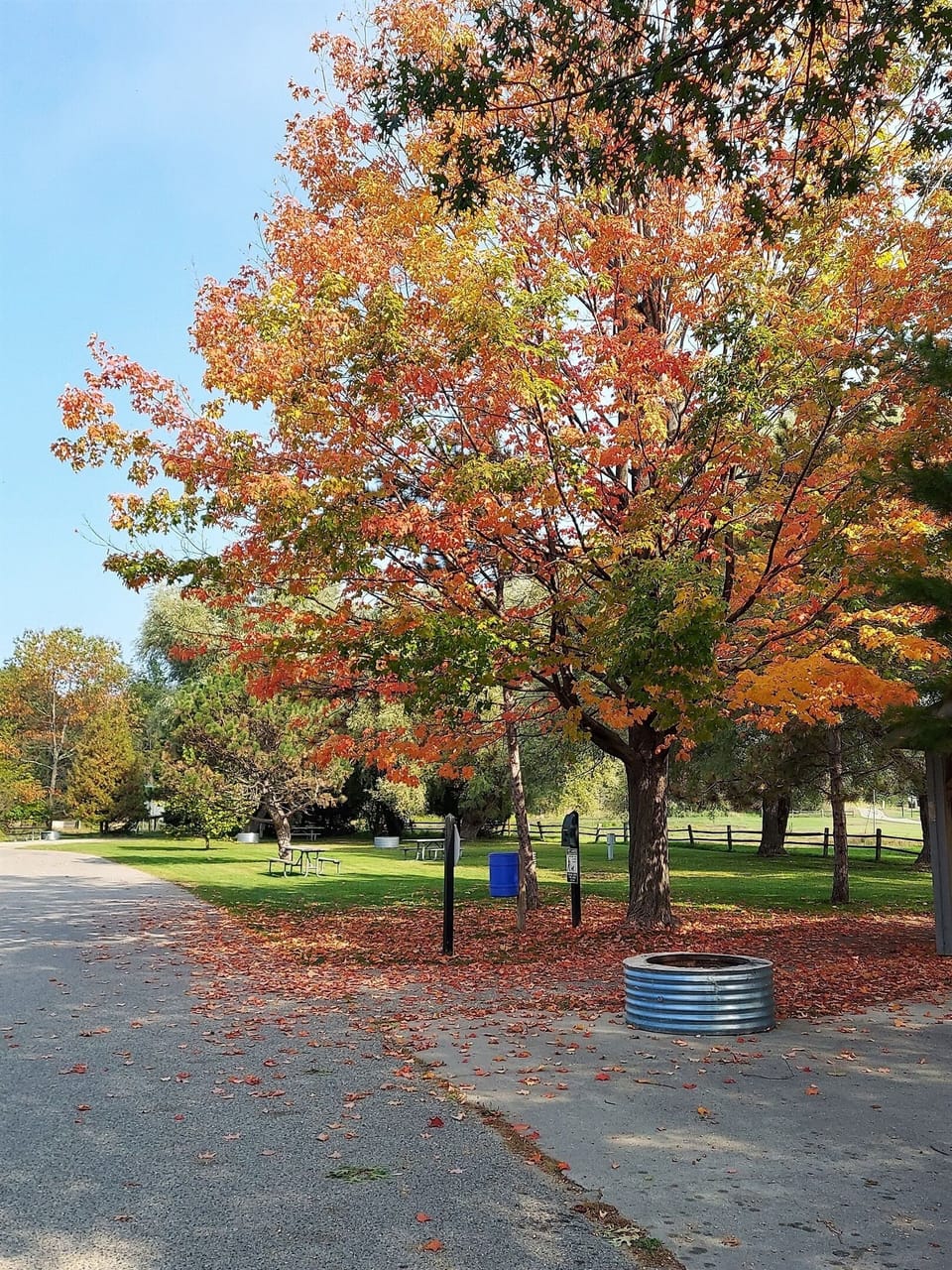 Every season offers beautiful views