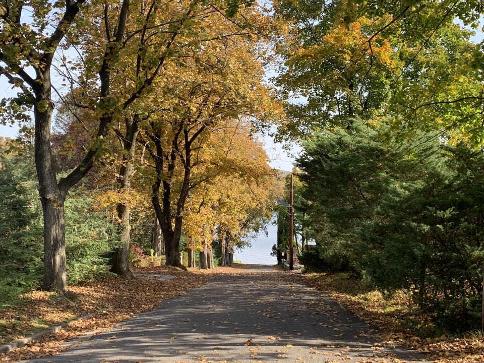 State Boat Launch View - Entering Nuangola Lake - 1/4 Mile from Property