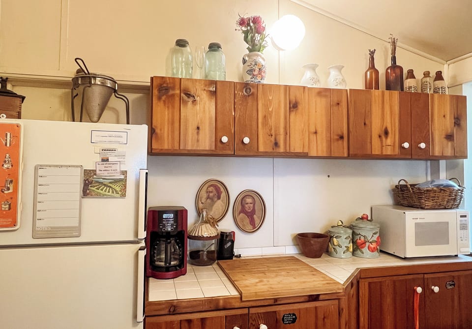 Kitchen fridge, counter and microwave