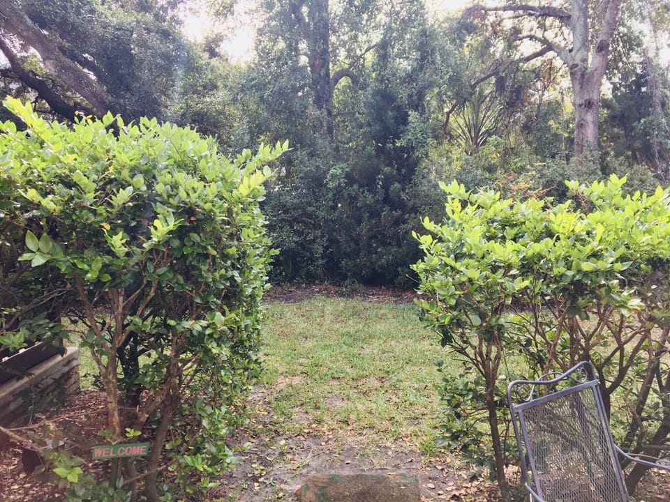 Private Backyard