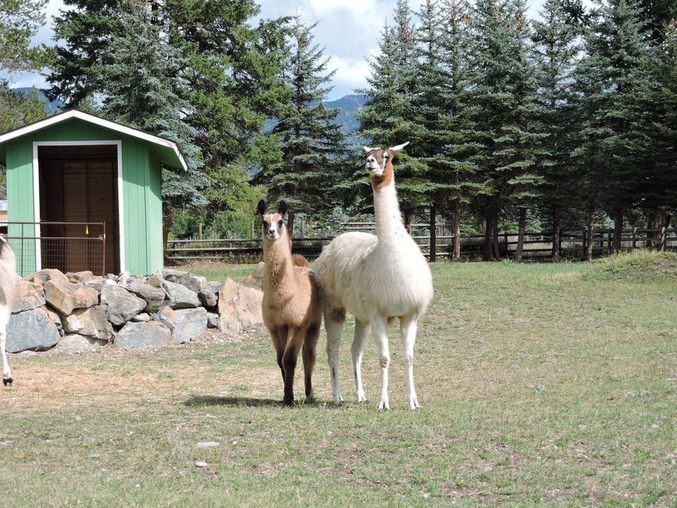 Kara and Rocky