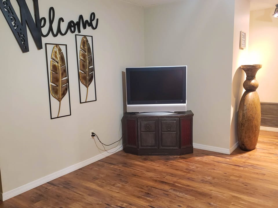Living room area TV with Roku access