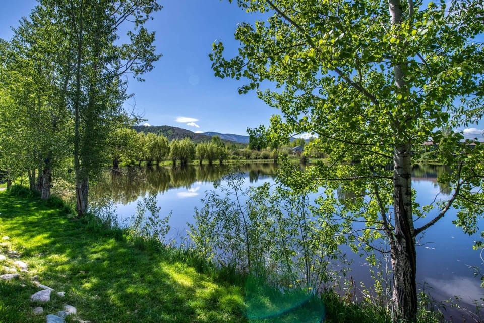 Great walking paths nearby- Perfect for the dogs!