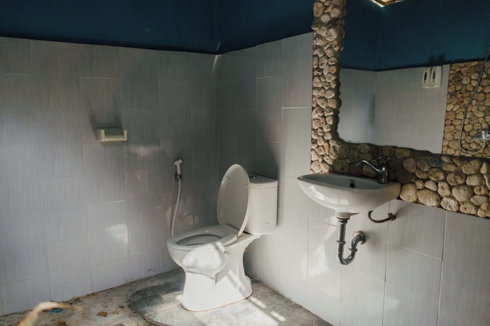 Deluxe Double or Twin Room | Bathroom | Shower, free toiletries, bidet, towels