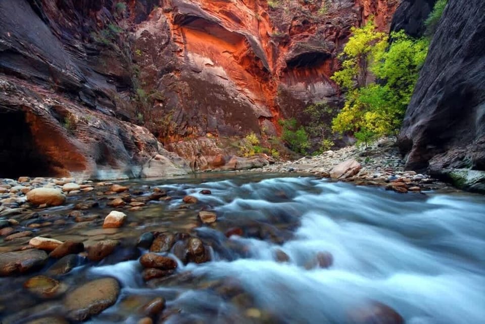 The Virgin River as it runs through Zion National Park.