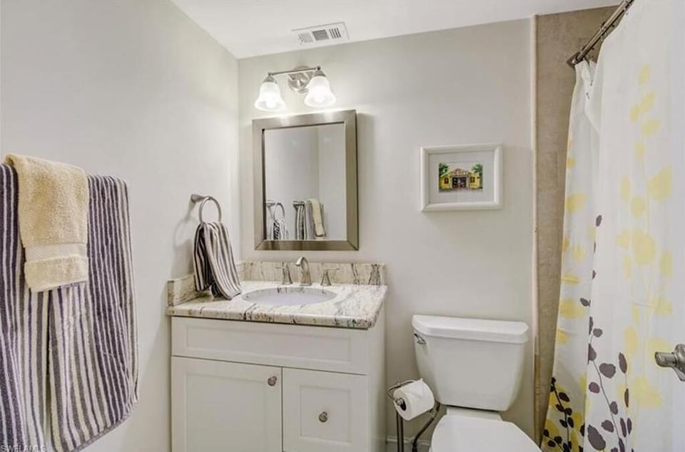 Guest Bathroom (now has glass sliding door)
