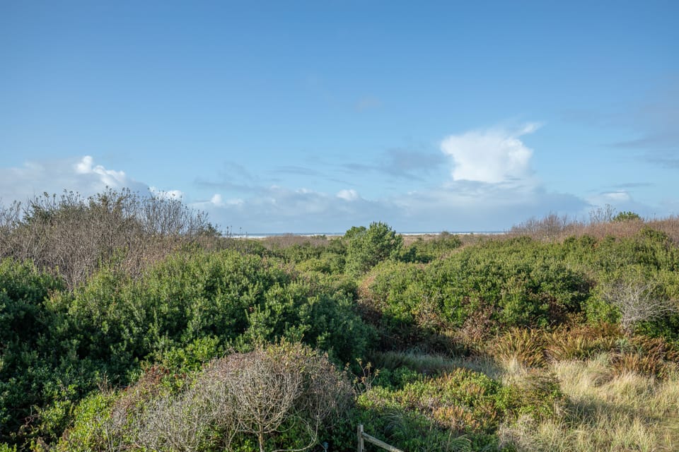 Condo | View from room