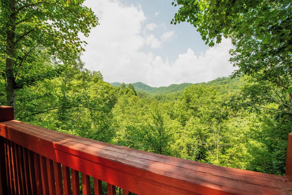 Deck Views
