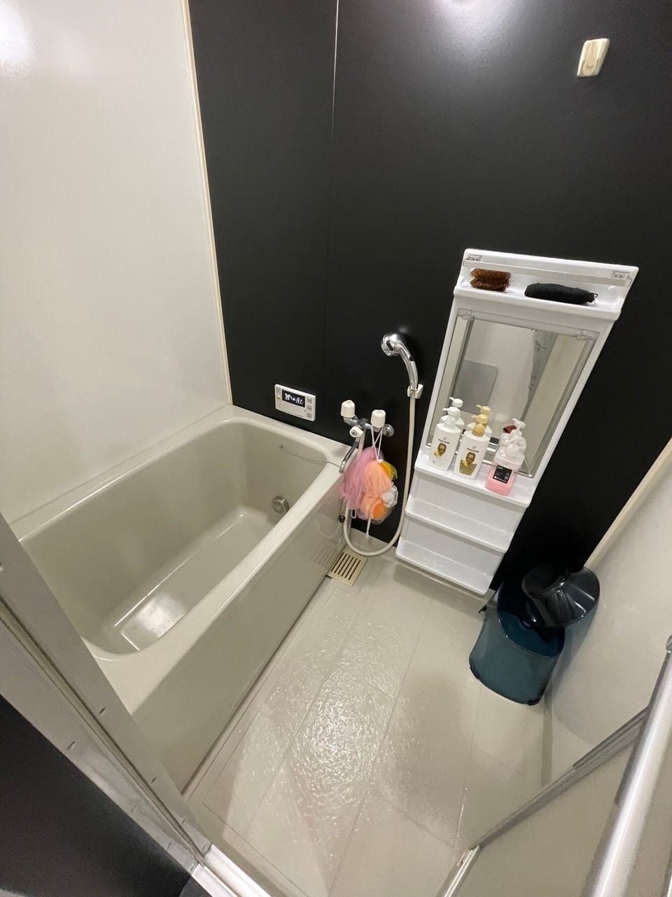 Private Vacation Home | Bathroom | Separate tub and shower, hair dryer, slippers, electronic bidet
