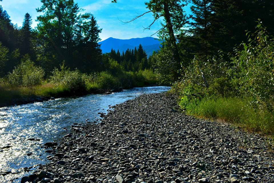 Big Timber creek is walkable from the cabin.