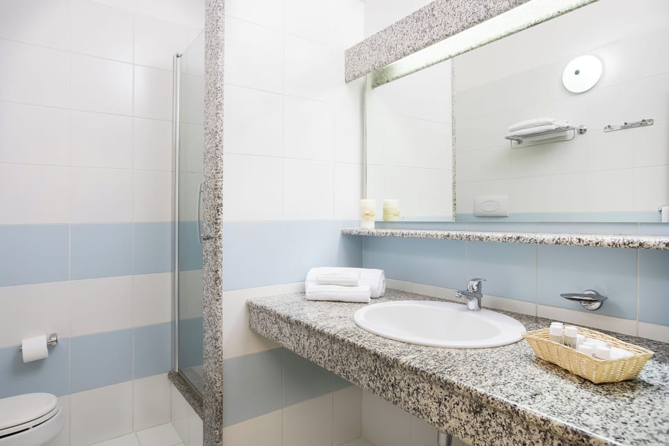 Shower, hair dryer, bidet, towels