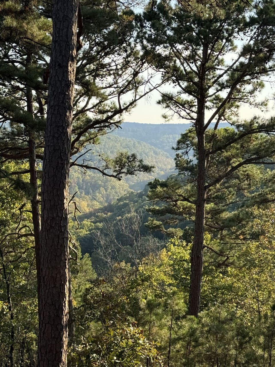 Mountain views from our private trail