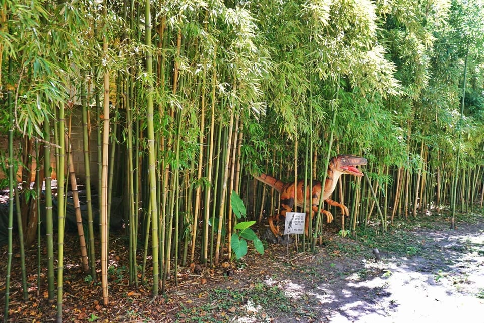 The courtyard is lined with a forest of bamboo.
