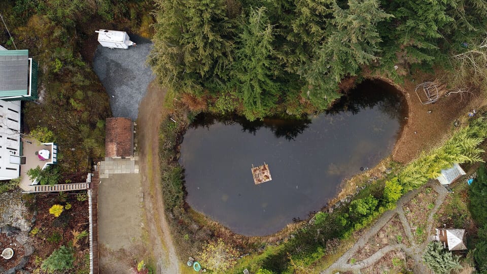 Private pond for property. Bring your paddle boards and try some yoga with koi 