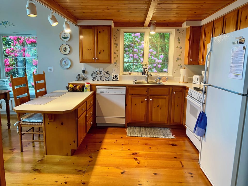 All the gorgeous greenery outside makes loading the dishwasher, a pleasure!
