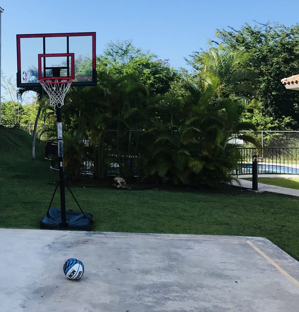 Basketball court