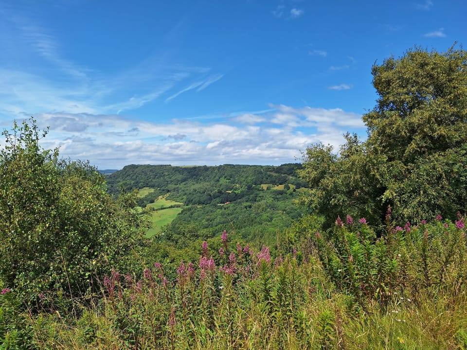 Stunning views from Sutton Bank