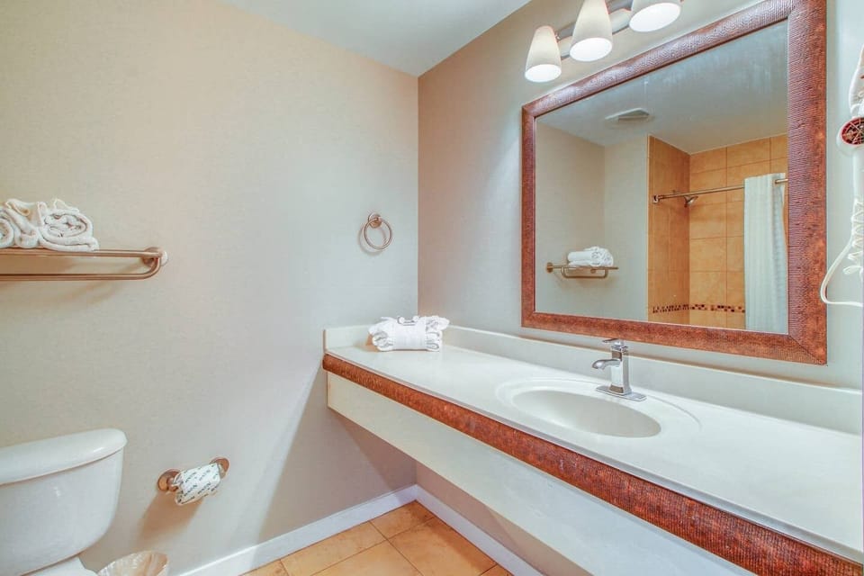 Ample counter space & large mirror + hair dryer!