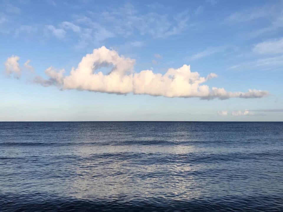 House | Water view