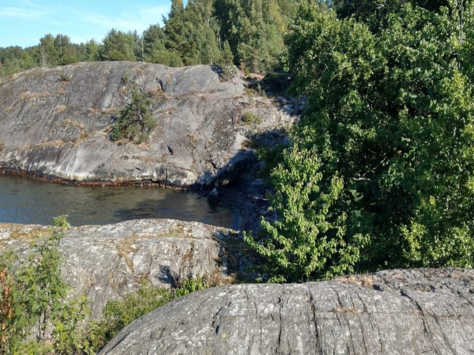 Water view