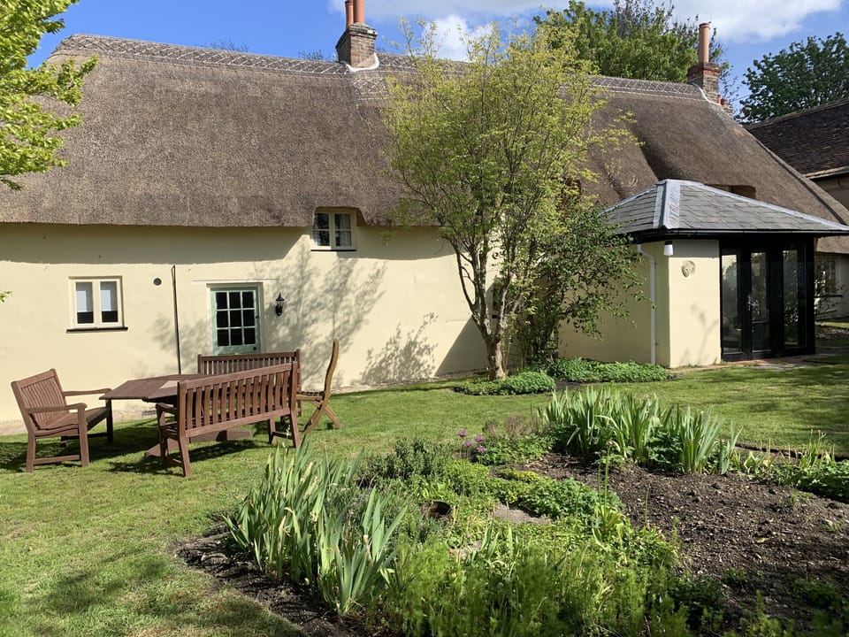 Back garden 
