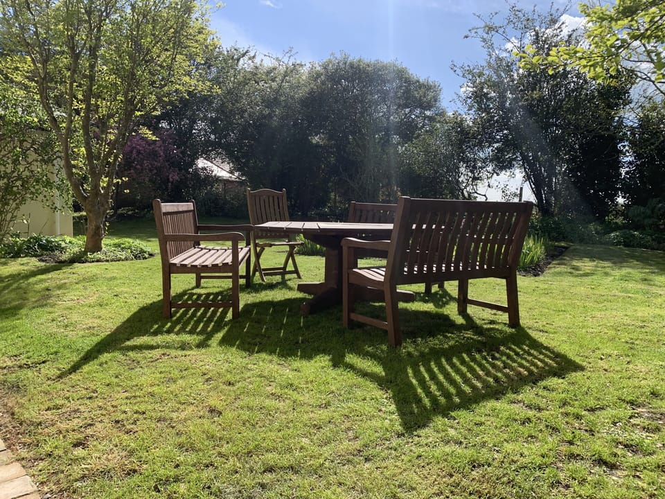 Back garden 