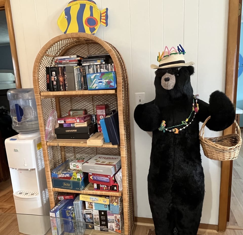 Games and puzzles, water cooler, house bear Luella
